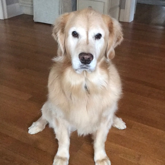 Meet your Posher, Jennifer - Picture 1 of 1